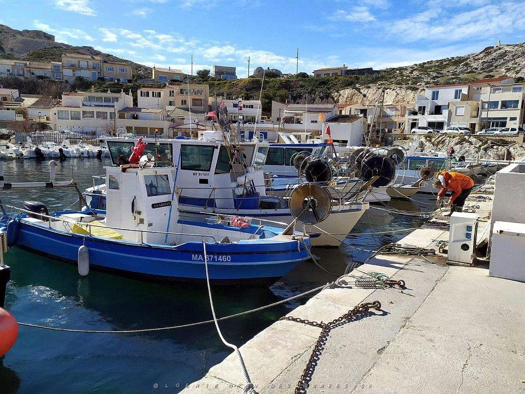 Marseille-Les Goudes 17 fevrier 2022 (15).jpg